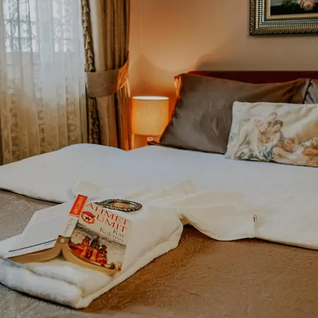 Biz Hotell *
