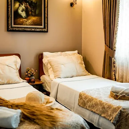 Biz Hotel *